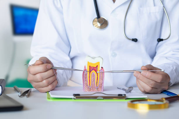 Best Emergency Dental Care for Broken or Chipped Teeth in Mont Belvieu, TX